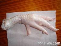 HALAL Grade 'A' Processed Chicken Feet