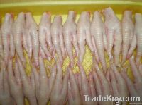 HALAL Grade 'A' Processed Chicken Paws