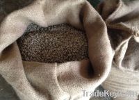 Export Arabica Coffee Beans | Arabica Coffee Bean Importer | Arabica Coffee Beans Buyer | Buy Arabica Coffee Beans | Arabica Coffee Bean Wholesaler | Arabica Coffee Bean Manufacturer | Best Arabica Coffee Bean Exporter | Low Price Arabica Coffee Beans | B