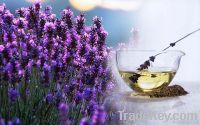 Lavender oil