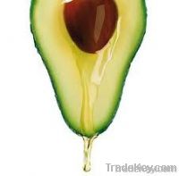 https://es.tradekey.com/product_view/Avocado-Oil-5412997.html