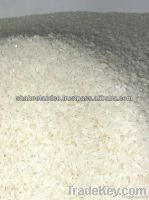 100% cotton seeds for animal feed non broken FOB Price 200 USD