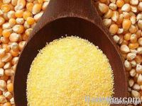 Cornmeal