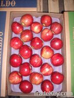SELL ARGENTINA FRESH APPLES