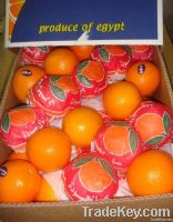 EGYPT FRESH ORANGES