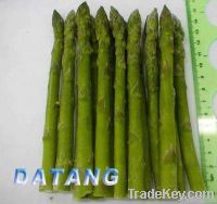 IQF green asparagus