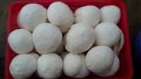 FROZEN COCONUT MEAT WITH BEST QUALITY