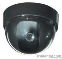 Dome Cameras