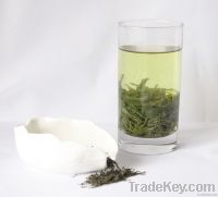 Xinyang Maojian, green tea