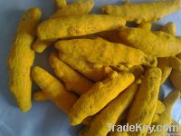 Turmeric Fingers