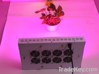 shenzhen zhongtian plant  led grow light for glasshouse