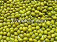 Green Mung Beans