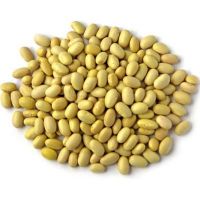 Canary or Yellow Bean