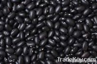 Black Beans