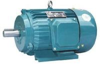 AC 220/380v three-phase motor 