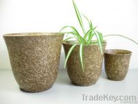 Biodegradabel wooden nursery planters and pots