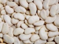 WHITE BUTTER BEANS