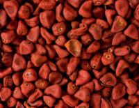 Annatto Seeds