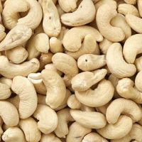 cashew nuts w320 w240 snacks cashew kernels