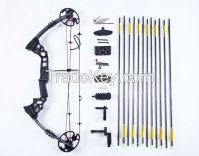 Hunting bow&amp;arrow set Dream black version, hunting bow and arrow, archery set,compound bow