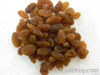 Brown Raisins