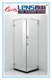Tempered and Filmed Glass Shower Enclosure, Pivot Door Shower Enclosure (Dina C21)