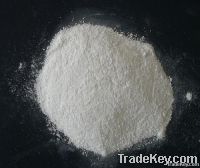 Export Skimmed Milk Powder | Full Cream Milk Powder Suppliers | Skimmed Milk Powder Exporters | Full Cream Milk Powder Traders | Skimmed Milk Powder Buyers | Full Cream Milk Powder Wholesalers | Low Price Skimmed Milk Powder | Full Cream Buy Milk Powder