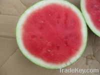 Seedless watermelons Sagi F1