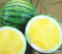 Seedless watermelons Amarillo