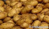 Egyptian potatoes