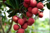 Fresh Lychee