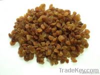 Sultanas Raisins