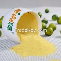 https://www.tradekey.com/product_view/100-Natural-Instant-Lime-Powder-Lime-Juice-Powder-Lime-Frui-8025228.html