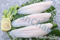 Pangasius fillet white well-trimmed