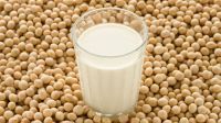  Pure Soy milk Powder /SOY MILK