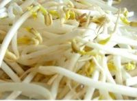 https://es.tradekey.com/product_view/Bean-Sprouts-5570257.html