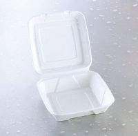 Biodegradable food container 