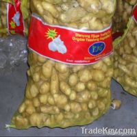 https://ar.tradekey.com/product_view/Chinese-New-Crop-Fresh-Potato-5596992.html