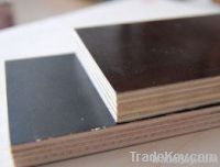 4*8ft Black/ Brown film faced plywood for construction
