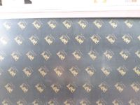 1220*2440MM*18MM film faced plywood supplier to DUBAI