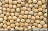 whole yellow peas