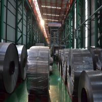 Primary Tin Free Steel (ECCS) for Can Ends