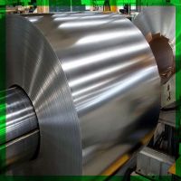 Tin Free Steel sheet(TFS)