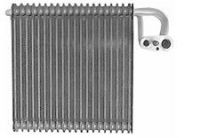 EVAPORATOR