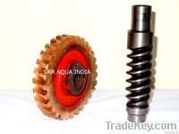 Worm Shaft & Worm Gear