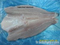 Premium Pangasius Butterfly