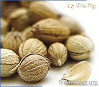 Coriander seeds