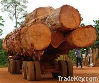 Timber and Medicinal Products