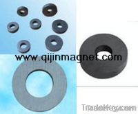 Ring Motor Flexible Ferrite Magnet