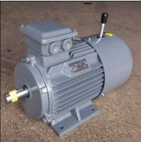 YEJ series electromagnetic braking three phase induction motor